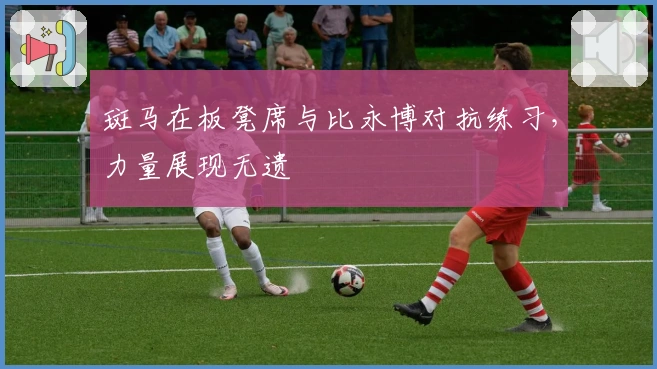 斑马在板凳席与比永博对抗练习，力量展现无遗