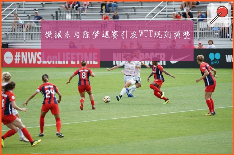 樊振东与陈梦退赛引发WTT规则调整