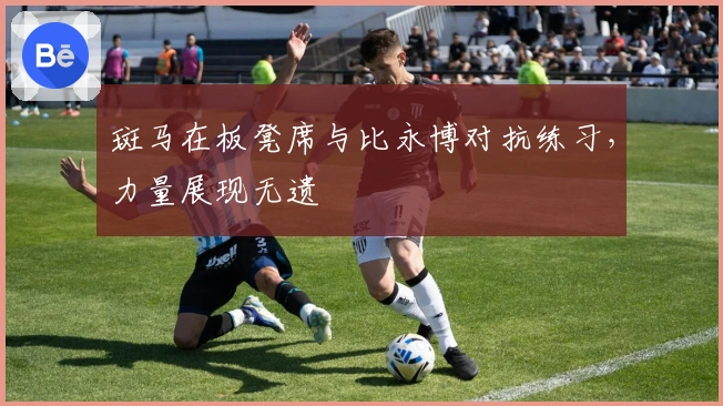 斑马在板凳席与比永博对抗练习，力量展现无遗